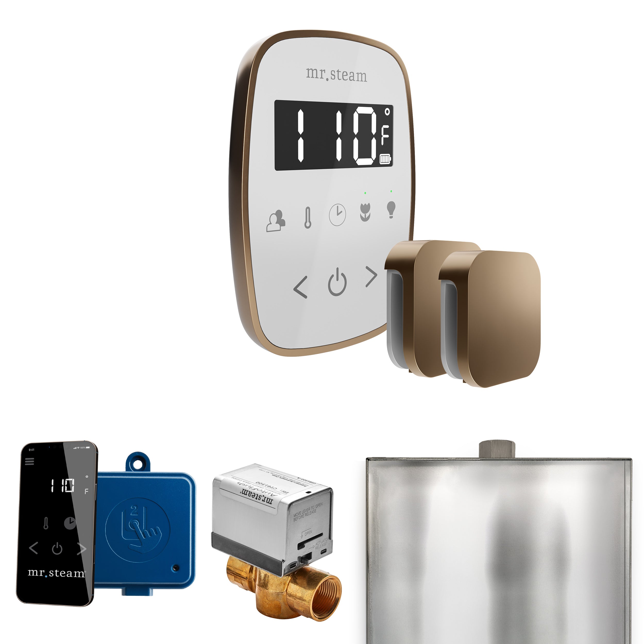 Mr. Steam Butler Flex Max Steam Shower Control Package with TempoFlex Control and Steamhead