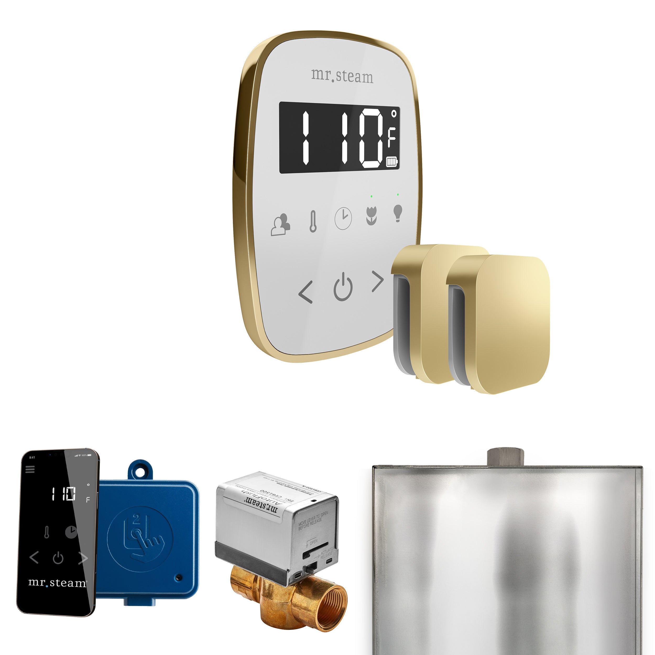 Mr. Steam Butler Flex Max Steam Shower Control Package with TempoFlex Control and Steamhead