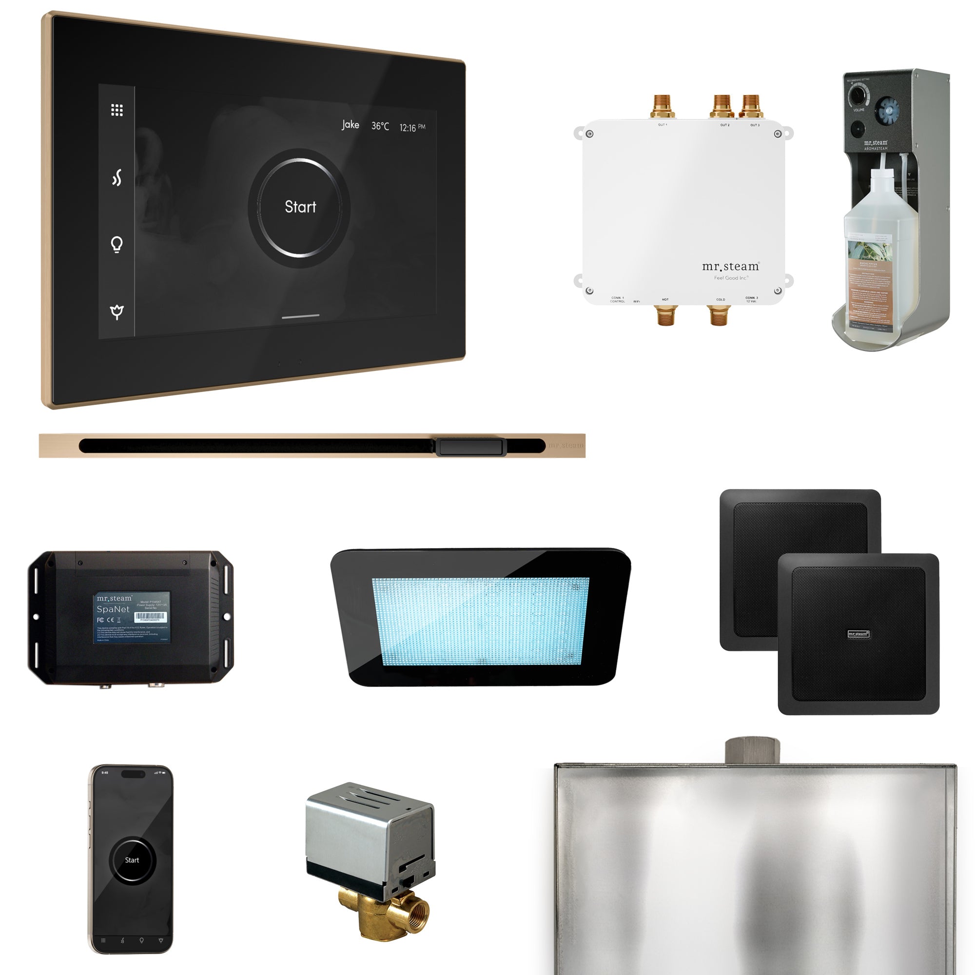 Mr. Steam Bliss Steam Shower Control Package with iSteamX Control and Steamhead