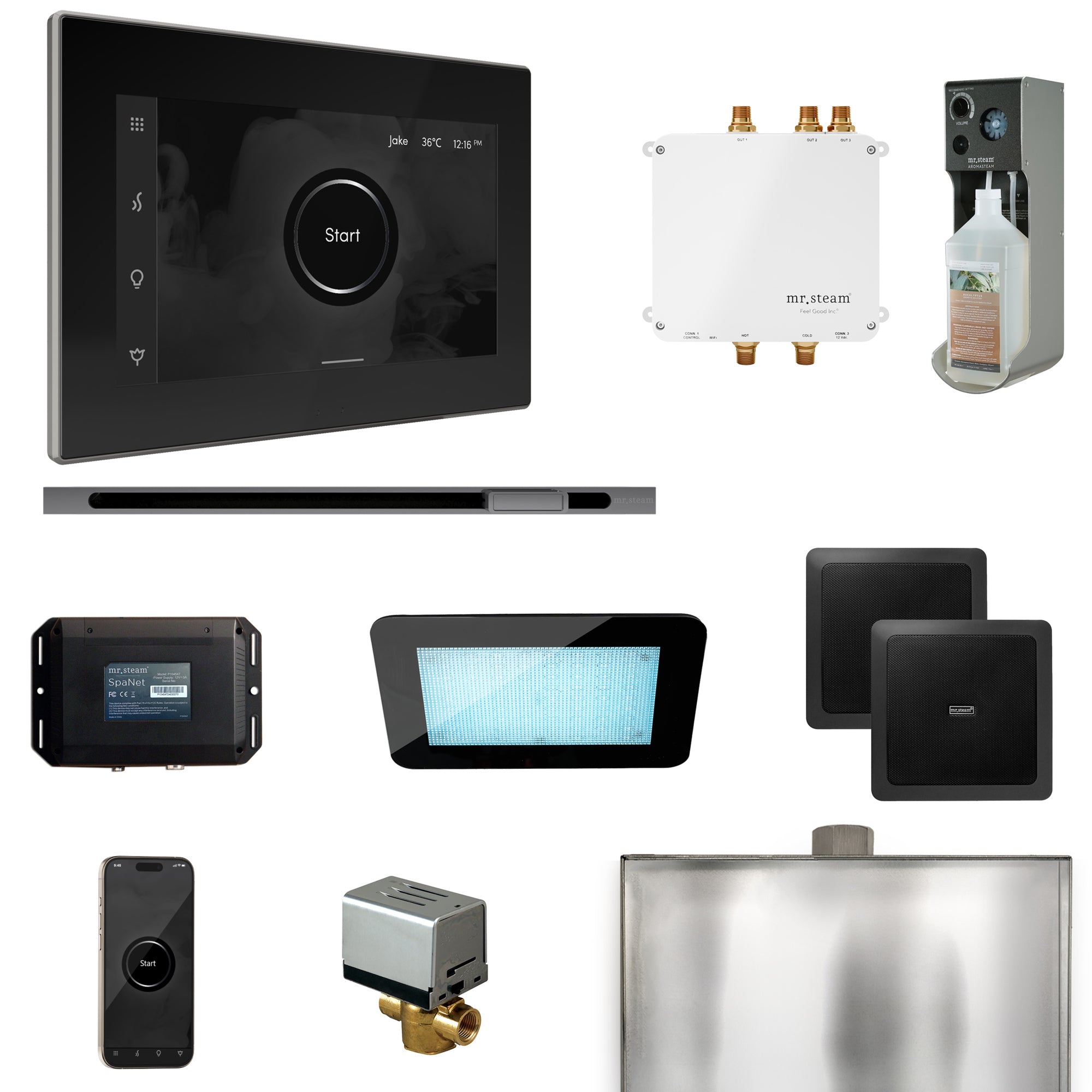Mr. Steam Bliss Steam Shower Control Package with iSteamX Control and Steamhead