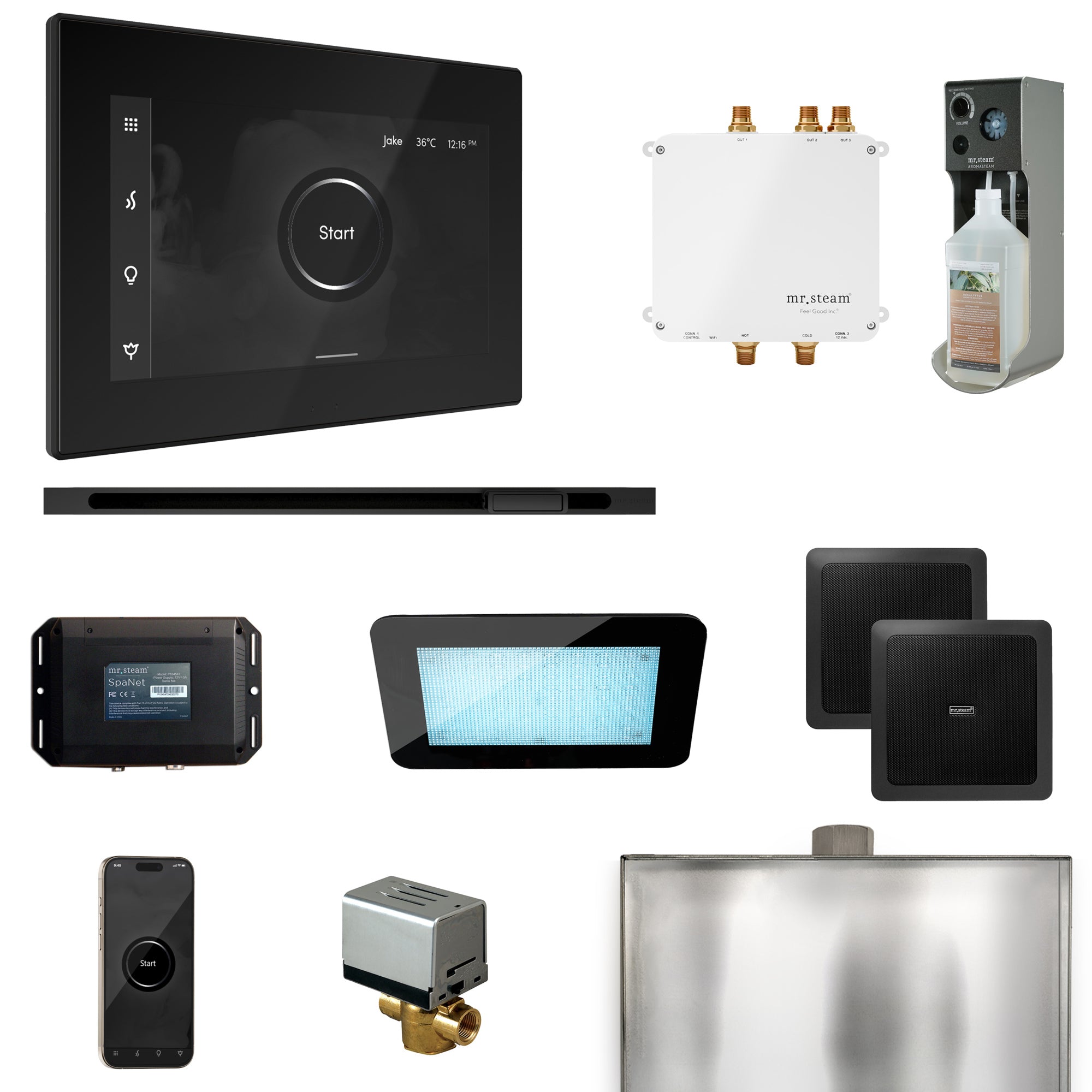 Mr. Steam Bliss Steam Shower Control Package with iSteamX Control and Steamhead