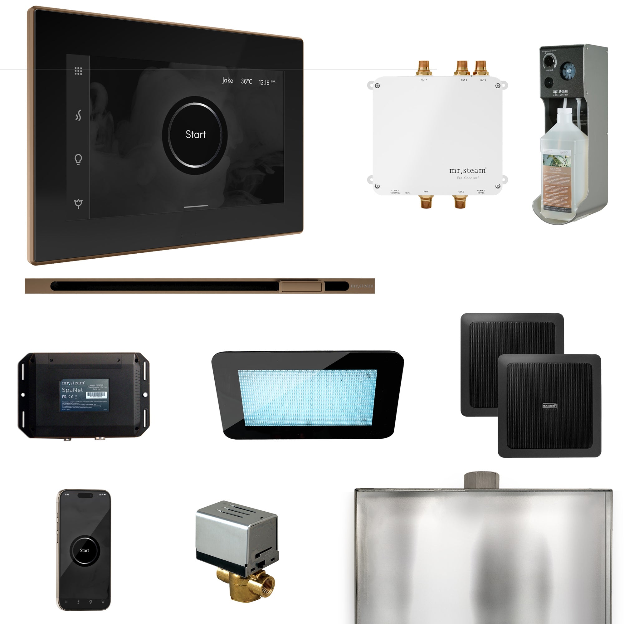 Mr. Steam Bliss Steam Shower Control Package with iSteamX Control and Steamhead