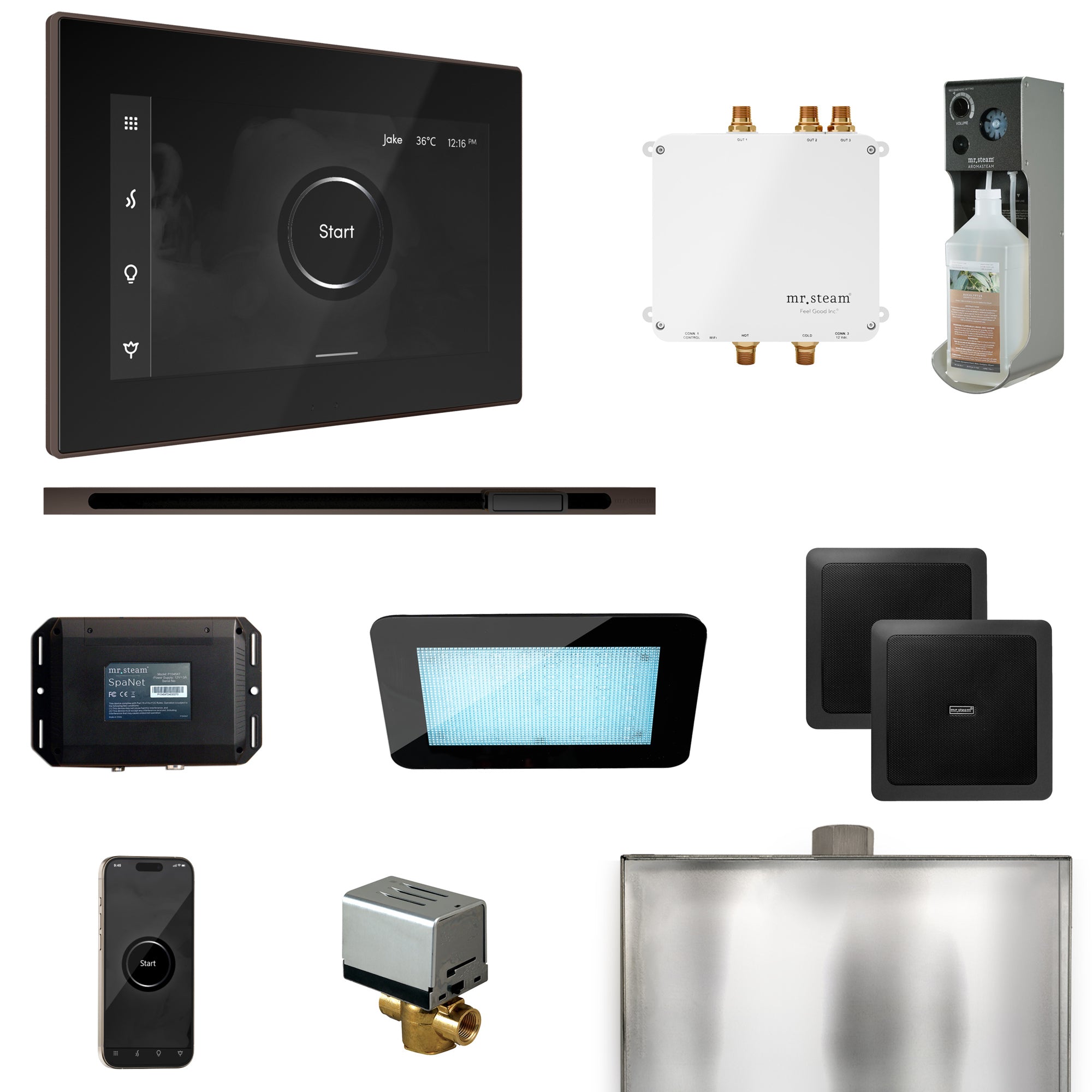 Mr. Steam Bliss Steam Shower Control Package with iSteamX Control and Steamhead