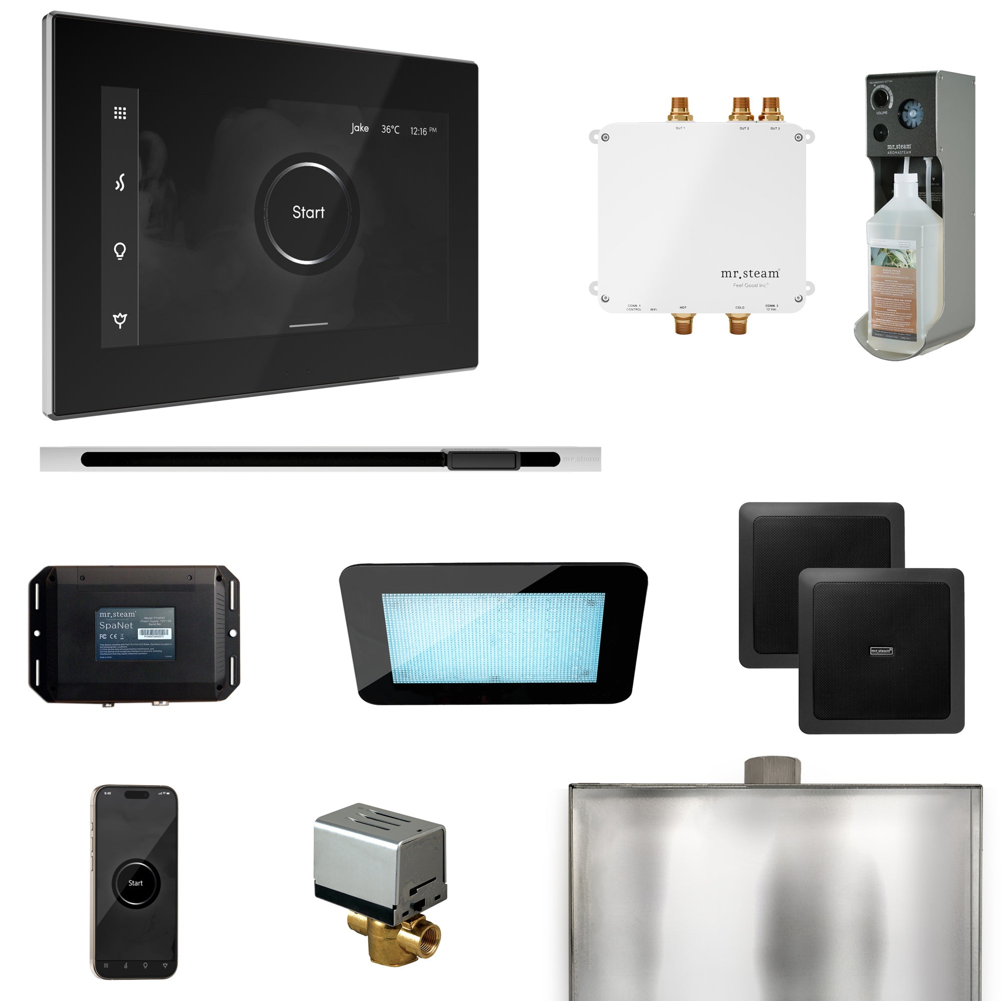 Mr. Steam Bliss Steam Shower Control Package with iSteamX Control and Steamhead
