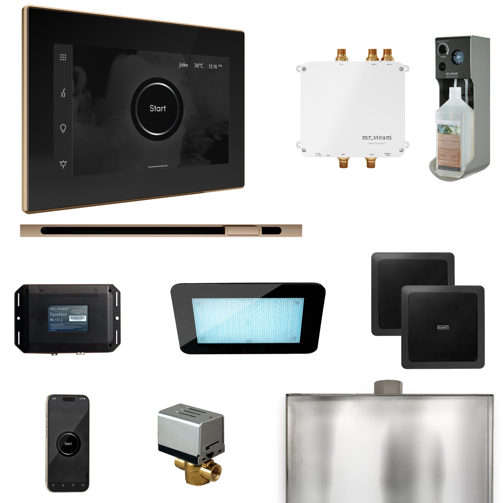 Mr. Steam Bliss Steam Shower Control Package with iSteamX Control and Steamhead