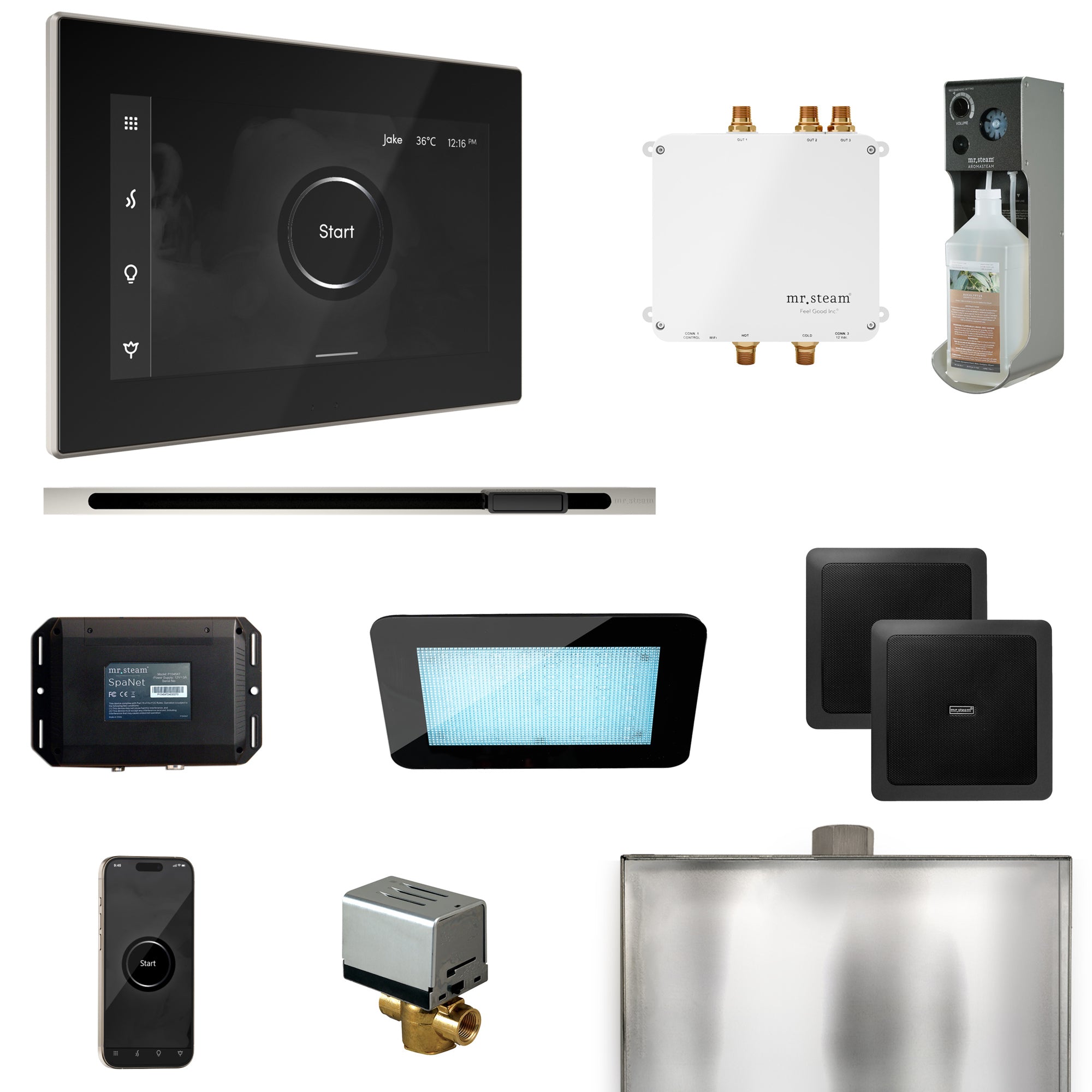 Mr. Steam Bliss Steam Shower Control Package with iSteamX Control and Steamhead