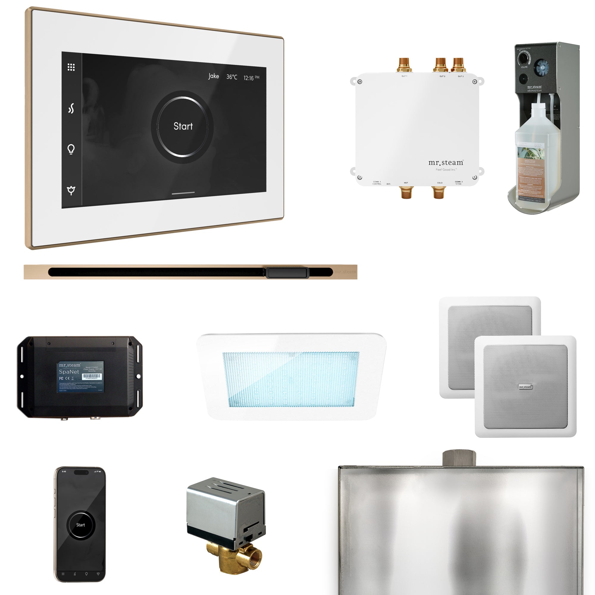Mr. Steam Bliss Steam Shower Control Package with iSteamX Control and Steamhead