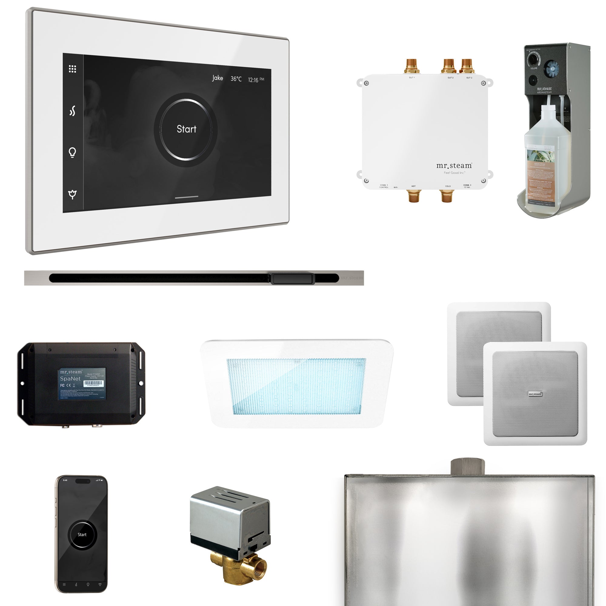 Mr. Steam Bliss Steam Shower Control Package with iSteamX Control and Steamhead