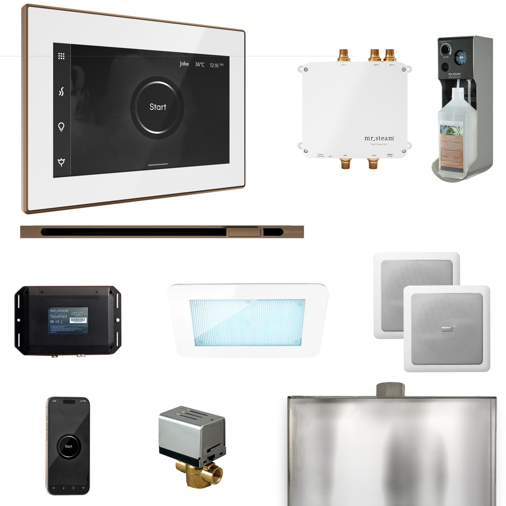 Mr. Steam Bliss Steam Shower Control Package with iSteamX Control and Steamhead