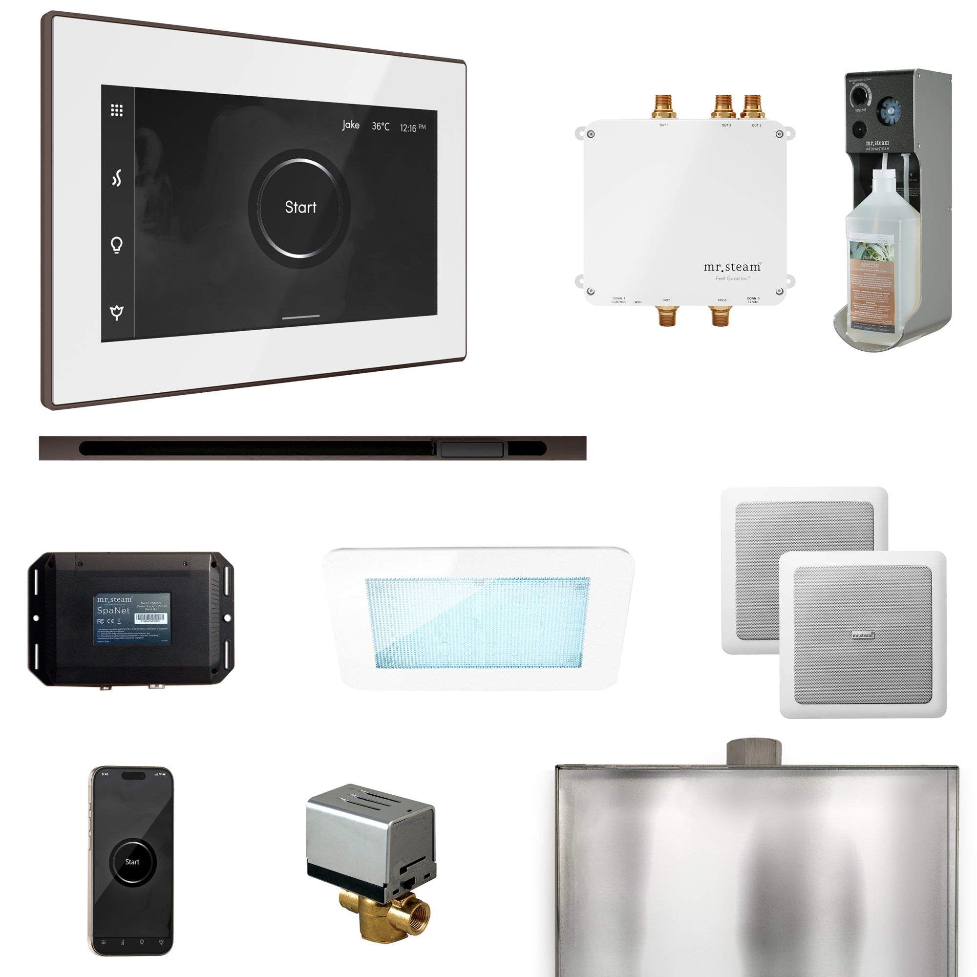 Mr. Steam Bliss Steam Shower Control Package with iSteamX Control and Steamhead