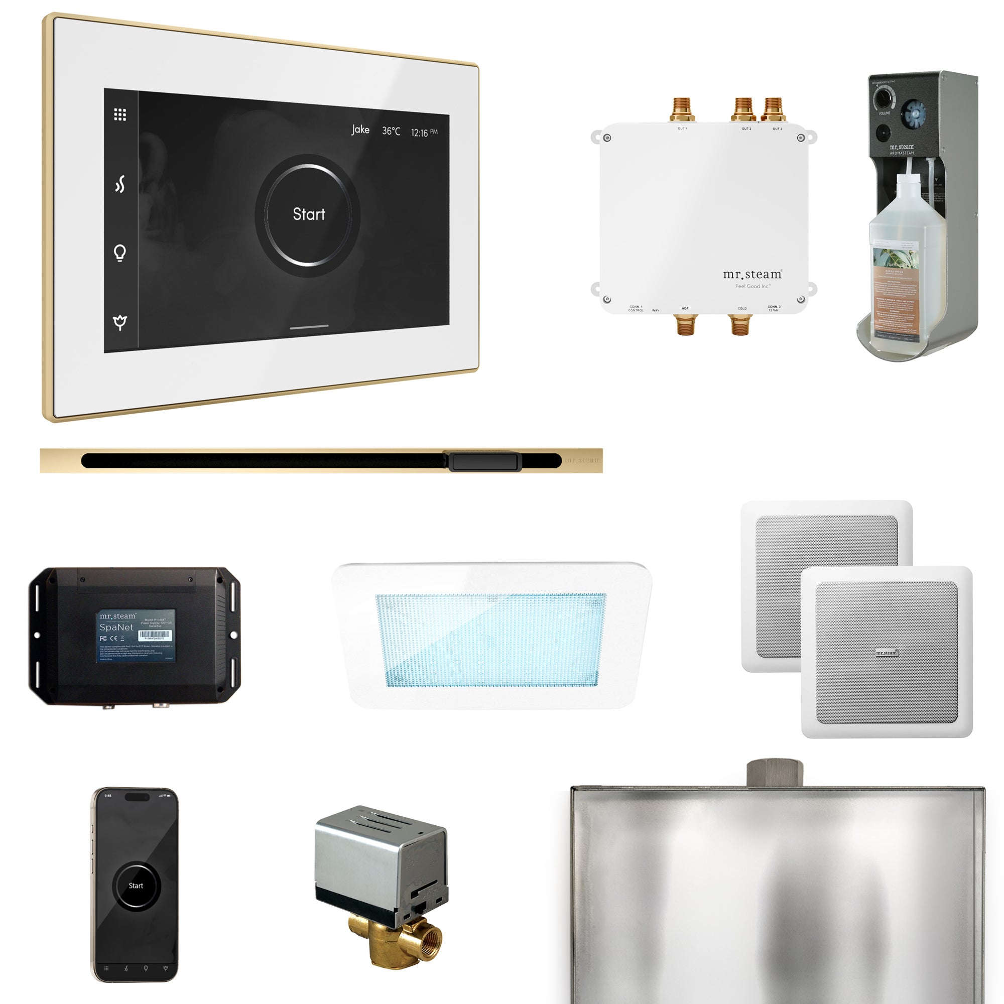 Mr. Steam Bliss Steam Shower Control Package with iSteamX Control and Steamhead