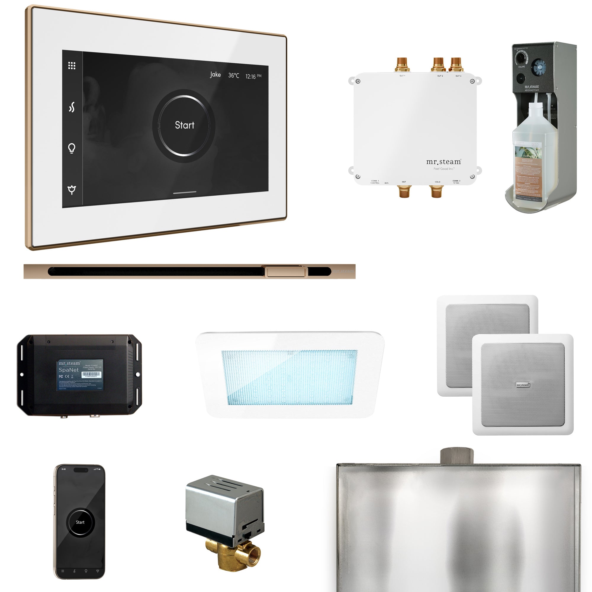 Mr. Steam Bliss Steam Shower Control Package with iSteamX Control and Steamhead