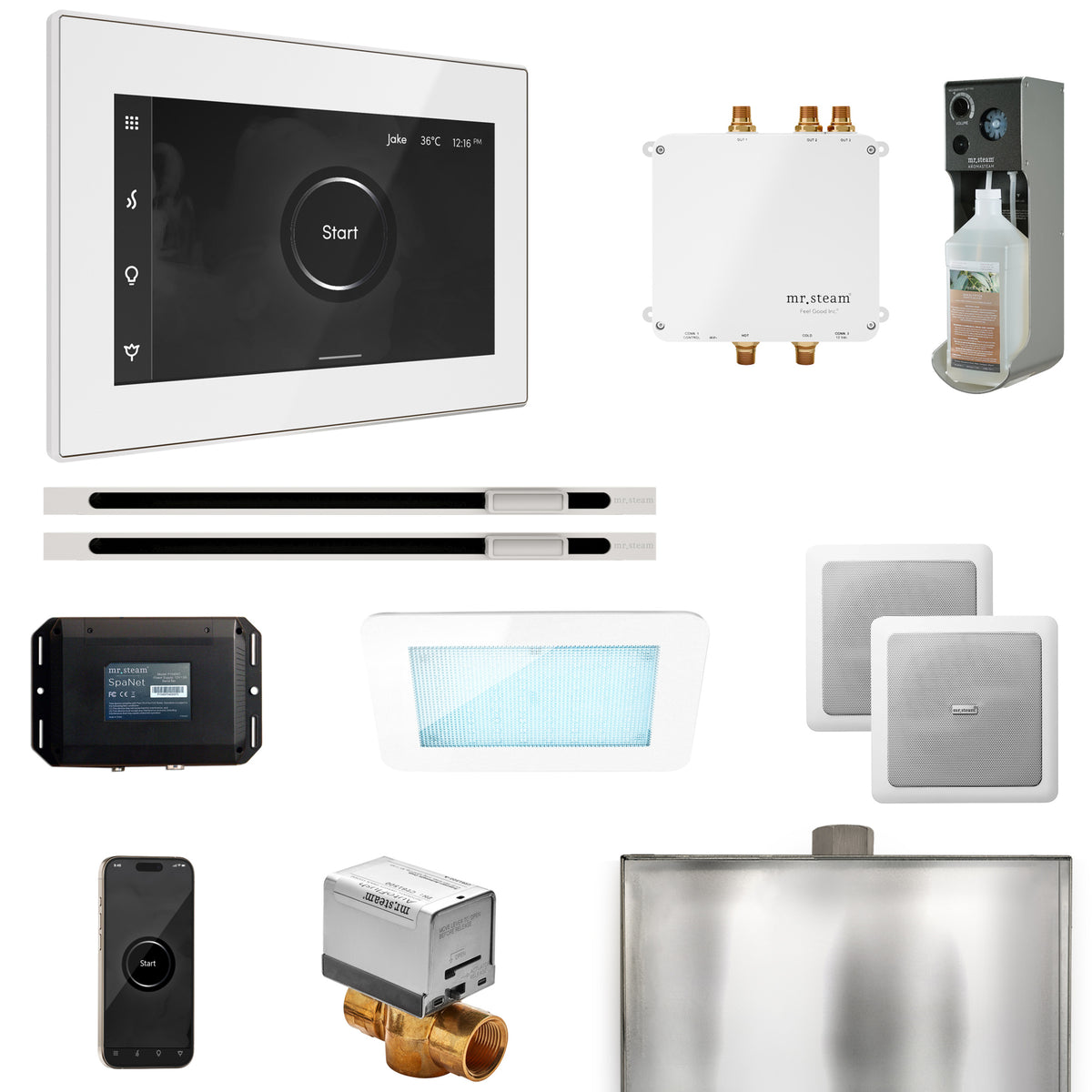 Mr. Steam Bliss Max Steam Shower Control Package with iSteamX Control and Steamhead