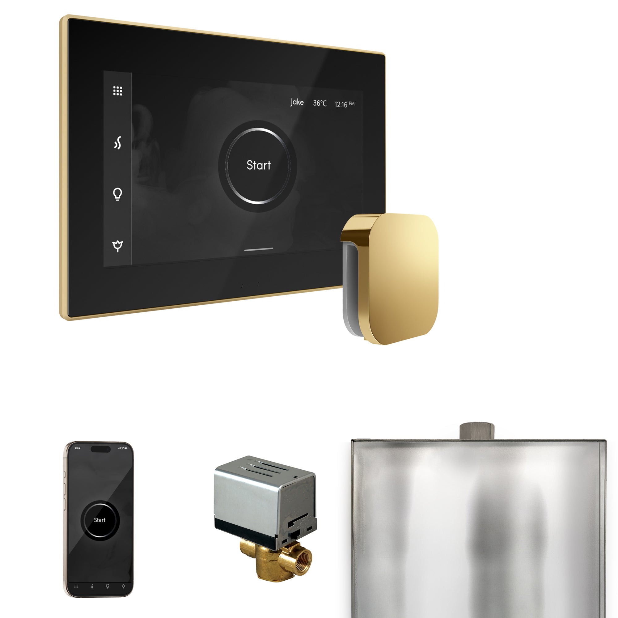 Mr. Steam Xbutler Steam Shower Control Package with iSteamX Control and Steamhead