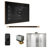 Mr. Steam Xbutler Steam Shower Control Package with iSteamX Control and Linear Steamhead