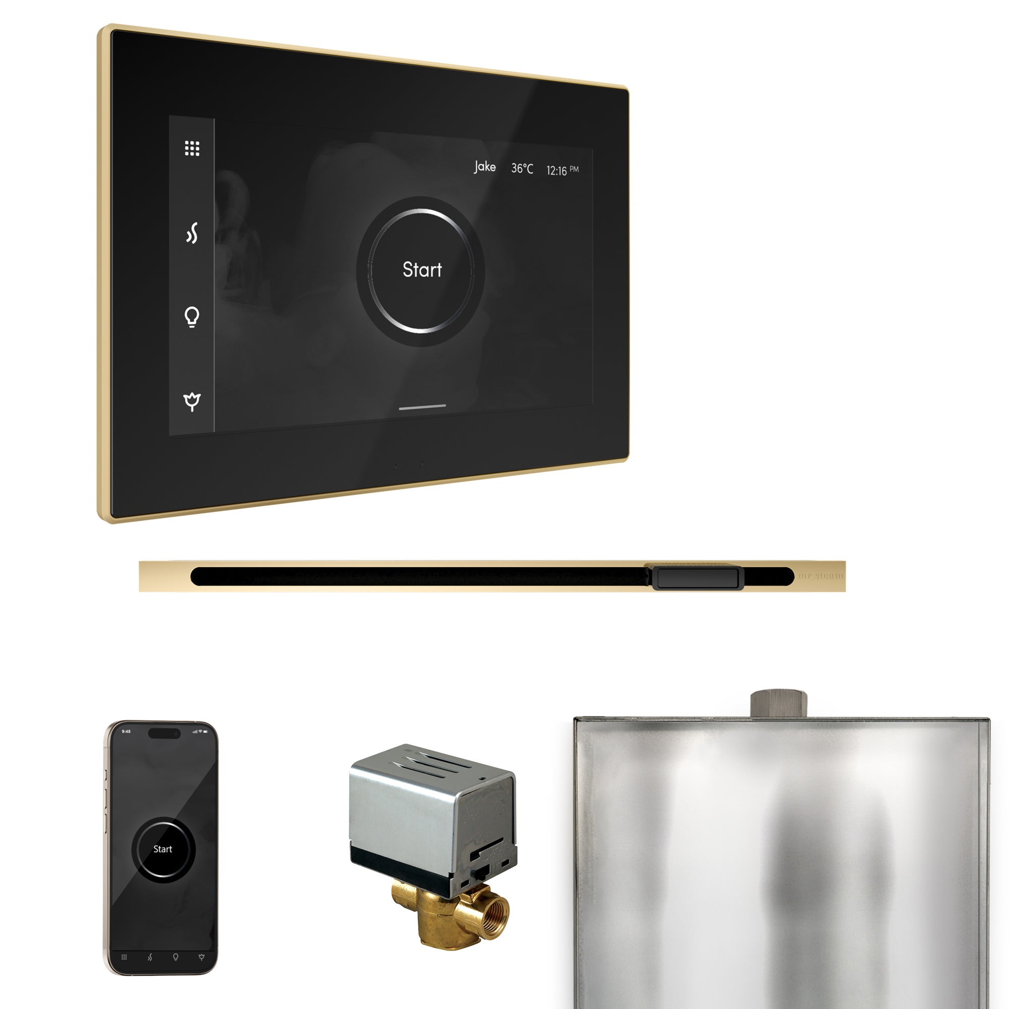Mr. Steam Xbutler Steam Shower Control Package with iSteamX Control and Linear Steamhead