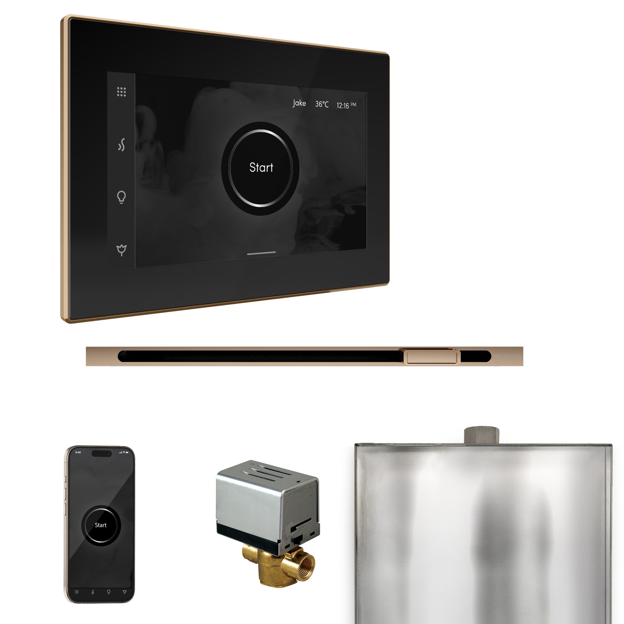 Mr. Steam Xbutler Steam Shower Control Package with iSteamX Control and Linear Steamhead