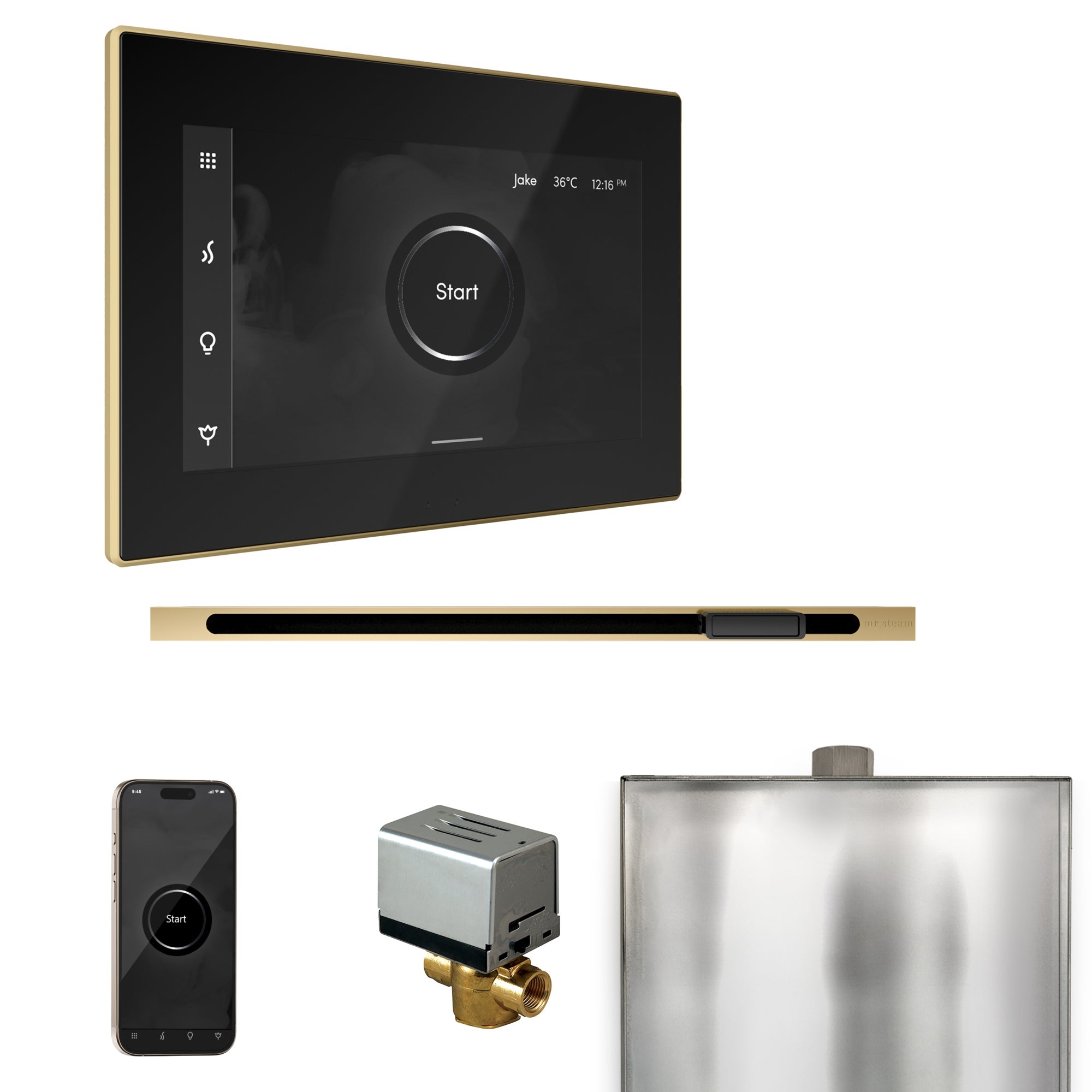 Mr. Steam Xbutler Steam Shower Control Package with iSteamX Control and Linear Steamhead