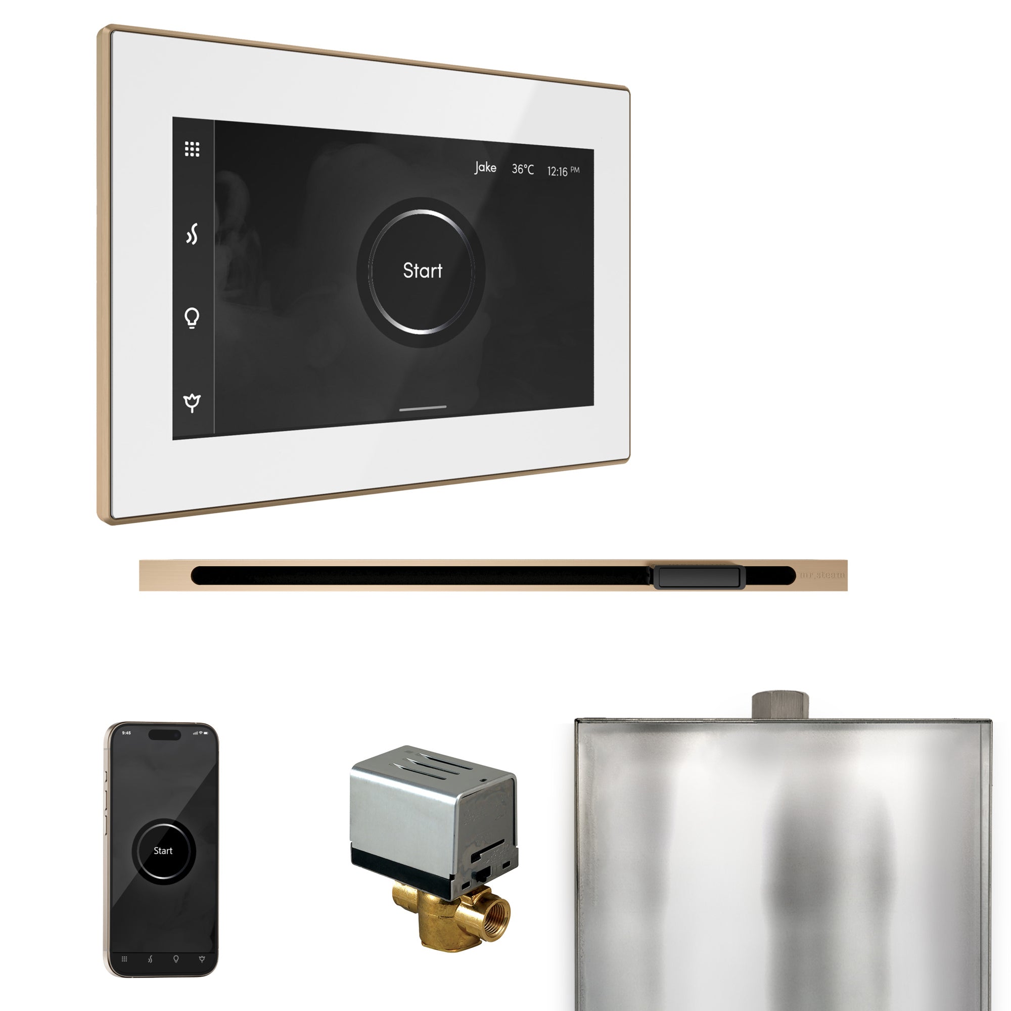 Mr. Steam Xbutler Steam Shower Control Package with iSteamX Control and Linear Steamhead