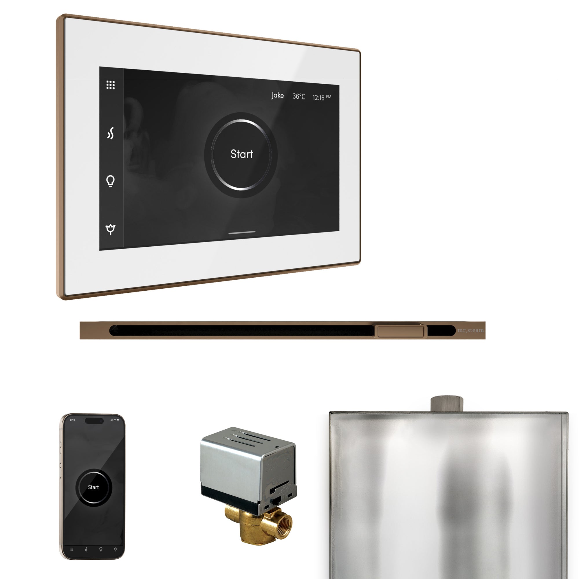 Mr. Steam Xbutler Steam Shower Control Package with iSteamX Control and Linear Steamhead