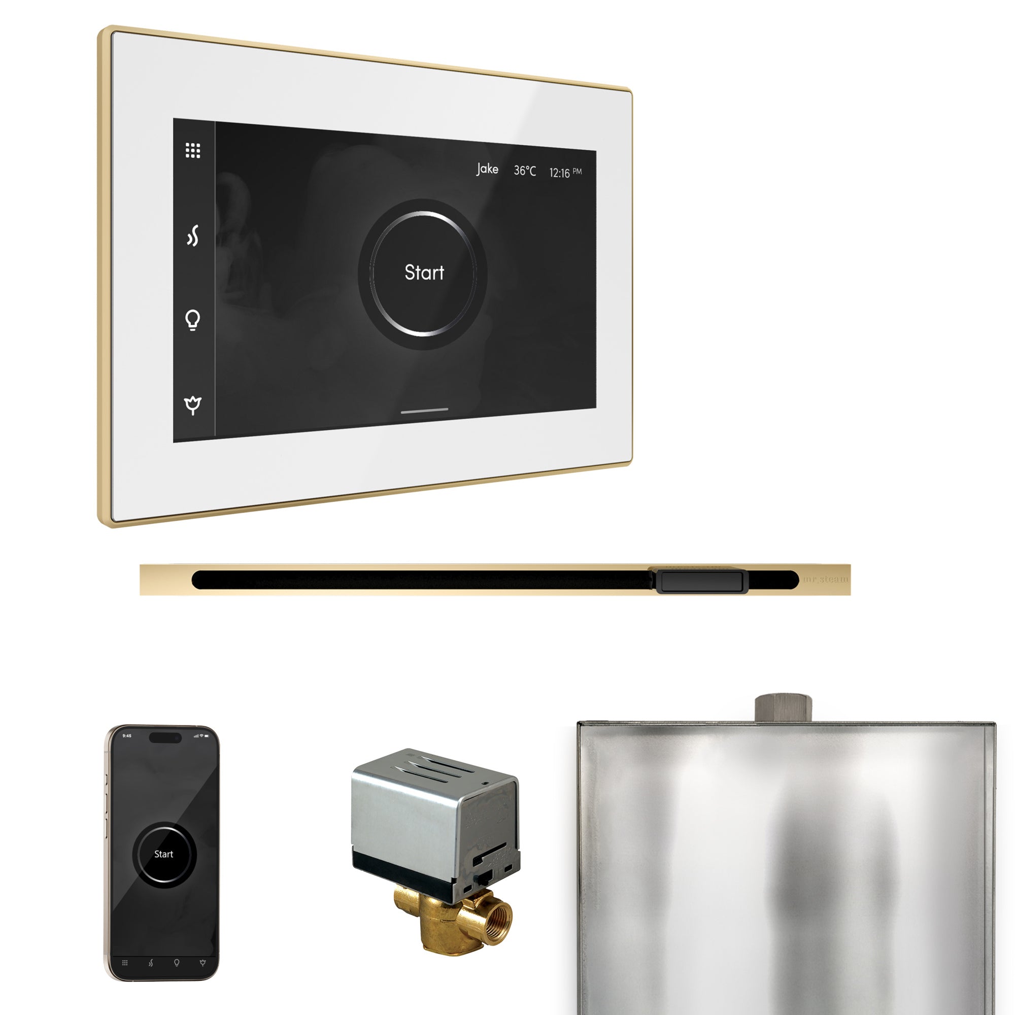 Mr. Steam Xbutler Steam Shower Control Package with iSteamX Control and Linear Steamhead