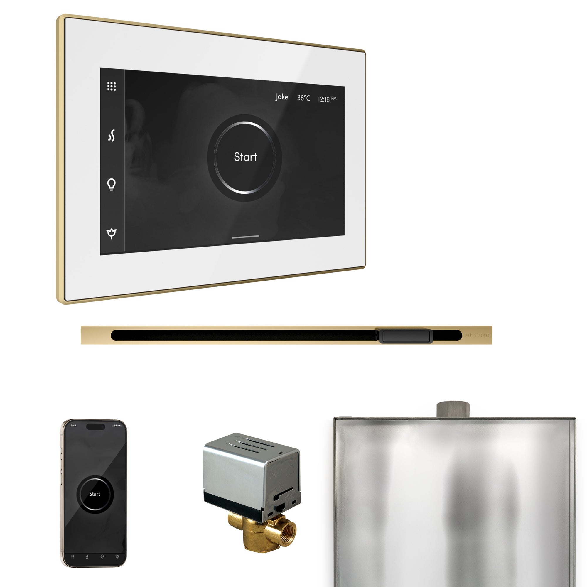 Mr. Steam Xbutler Steam Shower Control Package with iSteamX Control and Linear Steamhead