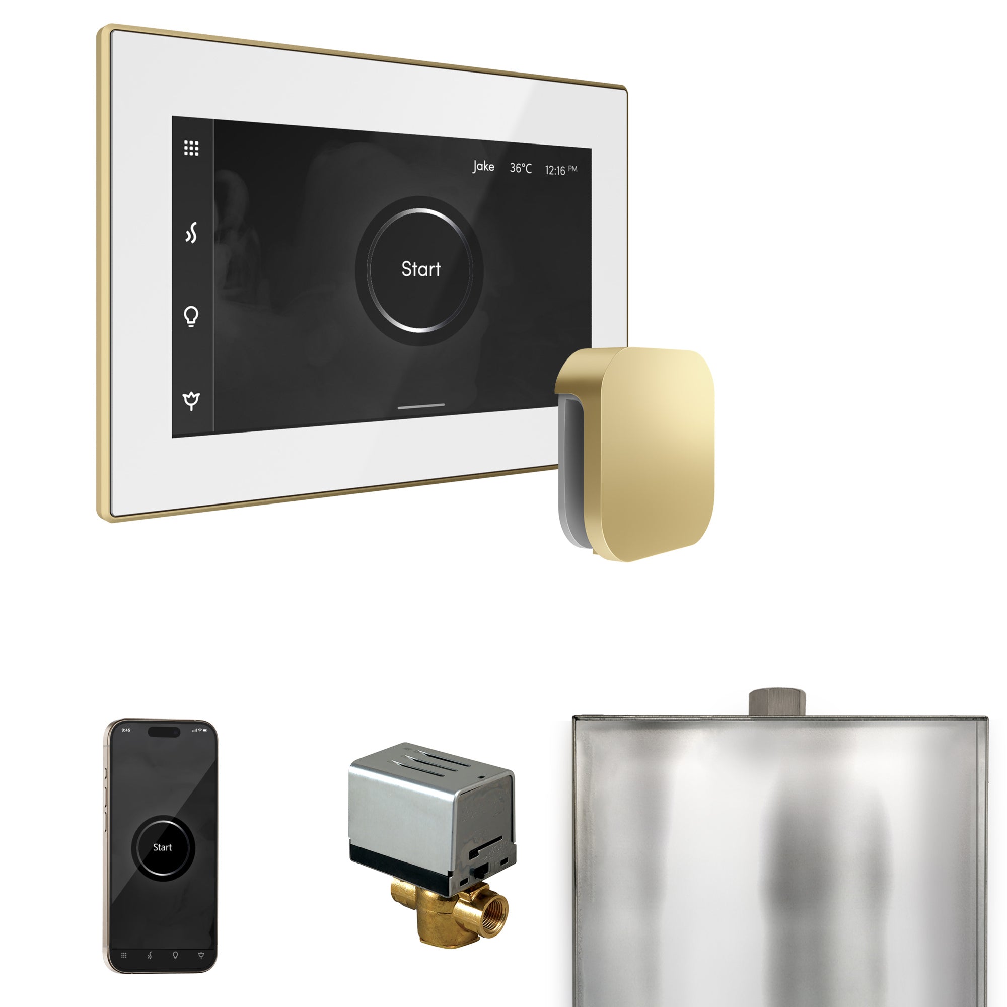 Mr. Steam Xbutler Steam Shower Control Package with iSteamX Control and Steamhead