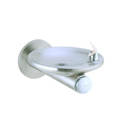 Stainless steel wall-mounted drinking fountain with oval basin, single spout, and circular mounting plate.