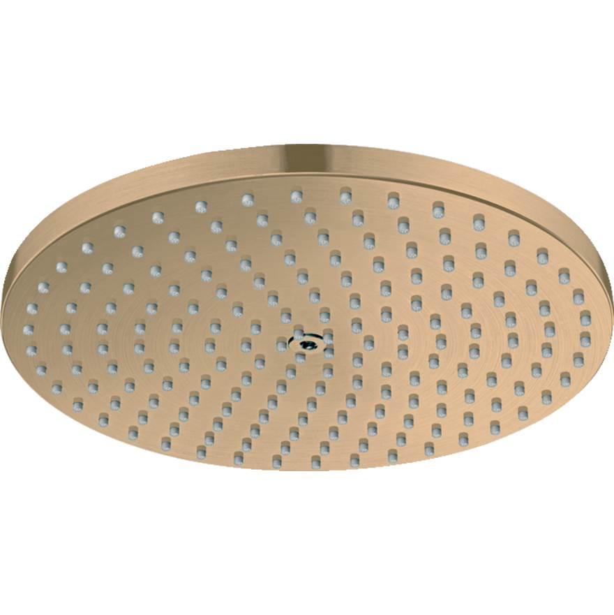 Brushed bronze circular shower head with multiple small spray jets evenly distributed across flat surface.