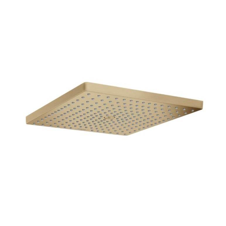 Brushed bronze square shower head with perforated face and raised rim edges.