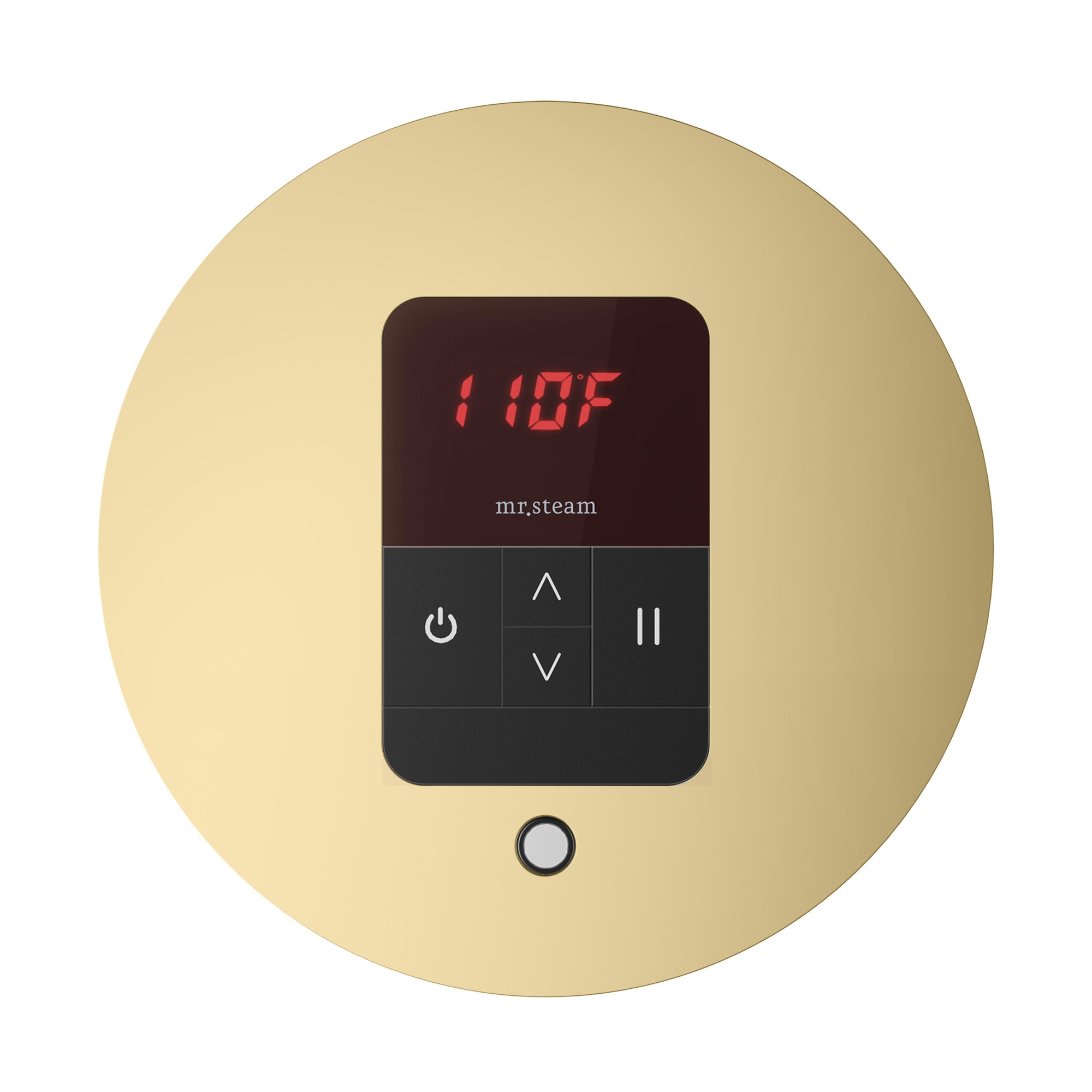 Mr. Steam iTempo Round Steam Shower Control and Steamhead