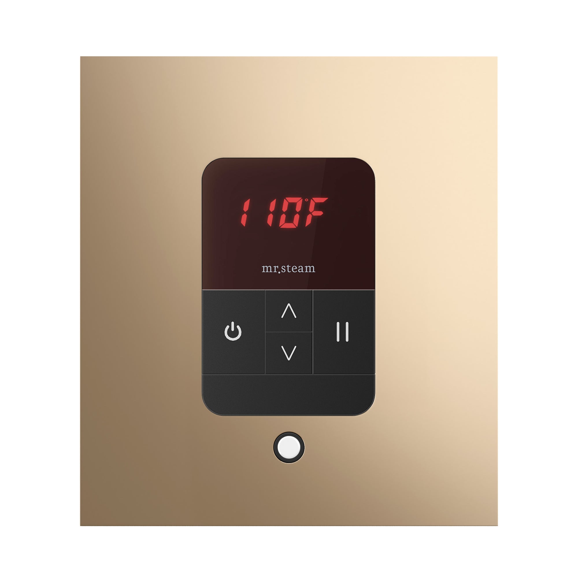 Mr. Steam iTempo Square Steam Shower Control and Steamhead