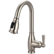 Brushed nickel gooseneck kitchen faucet with pull-down spray head and single lever handle.