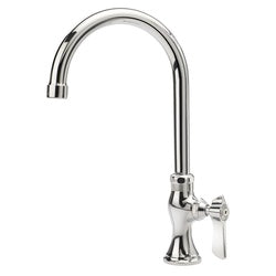 Chrome single-handle pantry faucet with 6-inch gooseneck spout and lever control.
