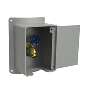 Gray locking hose bib with blue valve handle inside protective gray enclosure with hinged door.