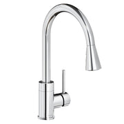 Chrome kitchen faucet with curved spout, pull-down spray head, and single lever handle.
