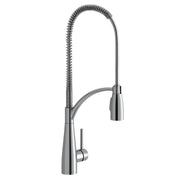 Chrome kitchen faucet with curved spout, coiled hose, and single lever handle.