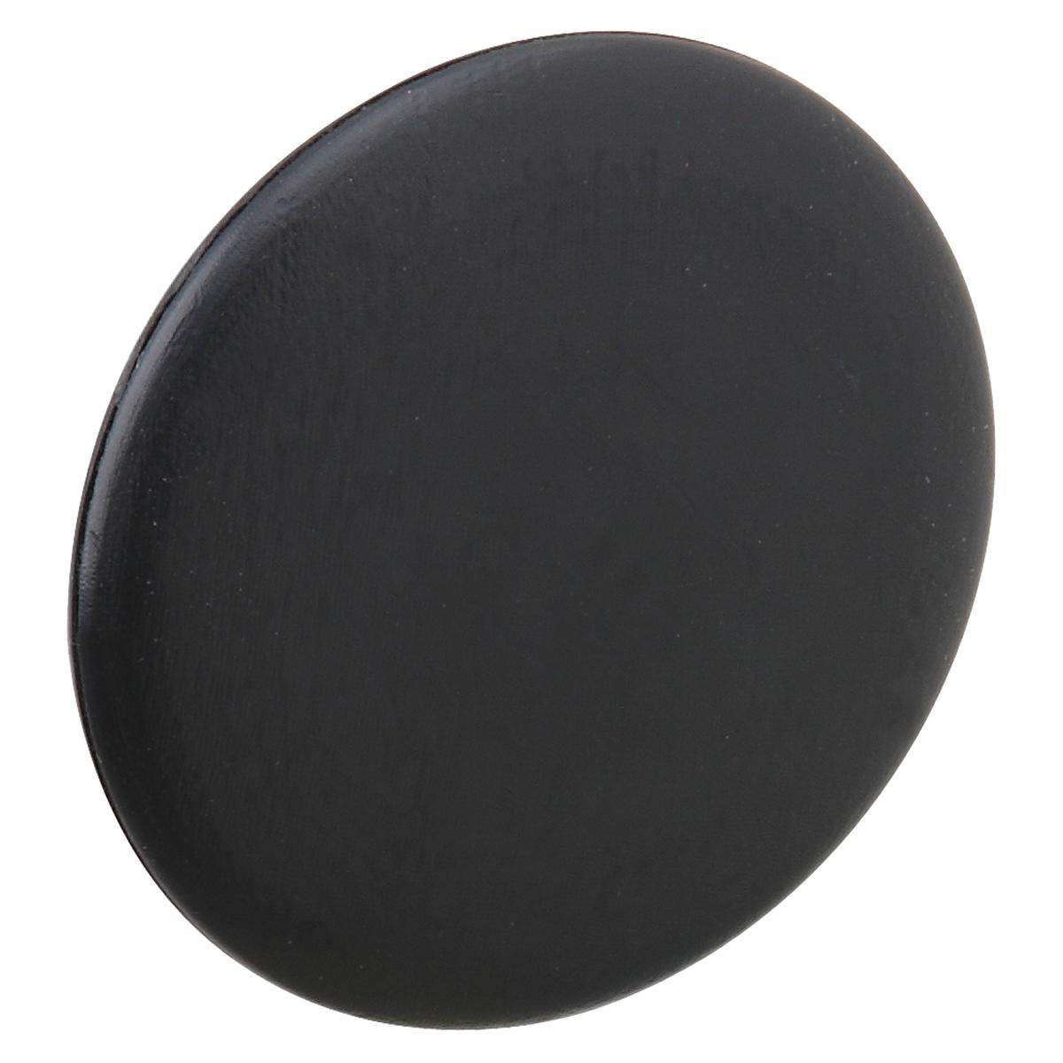 Black circular magnet with smooth finish and slightly raised edge.