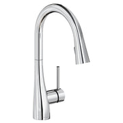 Chrome kitchen faucet with curved spout, pull-down spray nozzle, and forward lever handle.
