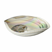 Abalone shell-shaped sink basin with iridescent finish and single drain opening.