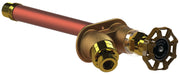 Woodford 25CP-12 Freezeless Wall Faucet 12 Inch Anti-Siphon Commercial