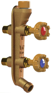 Brass vertical wall-mount faucet with red hot and blue cold control valves and PEX inlet connections.