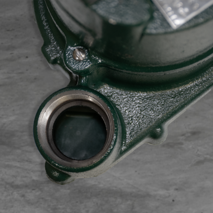Green cast iron pump housing with threaded discharge port and mounting bracket detail.