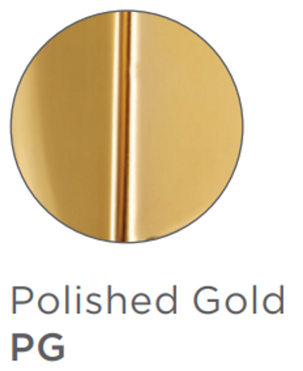 Round polished gold shower head with dark grey face and center vertical stripe.