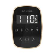 Mr. Steam TempoFlex Steam Shower Control and Steamhead