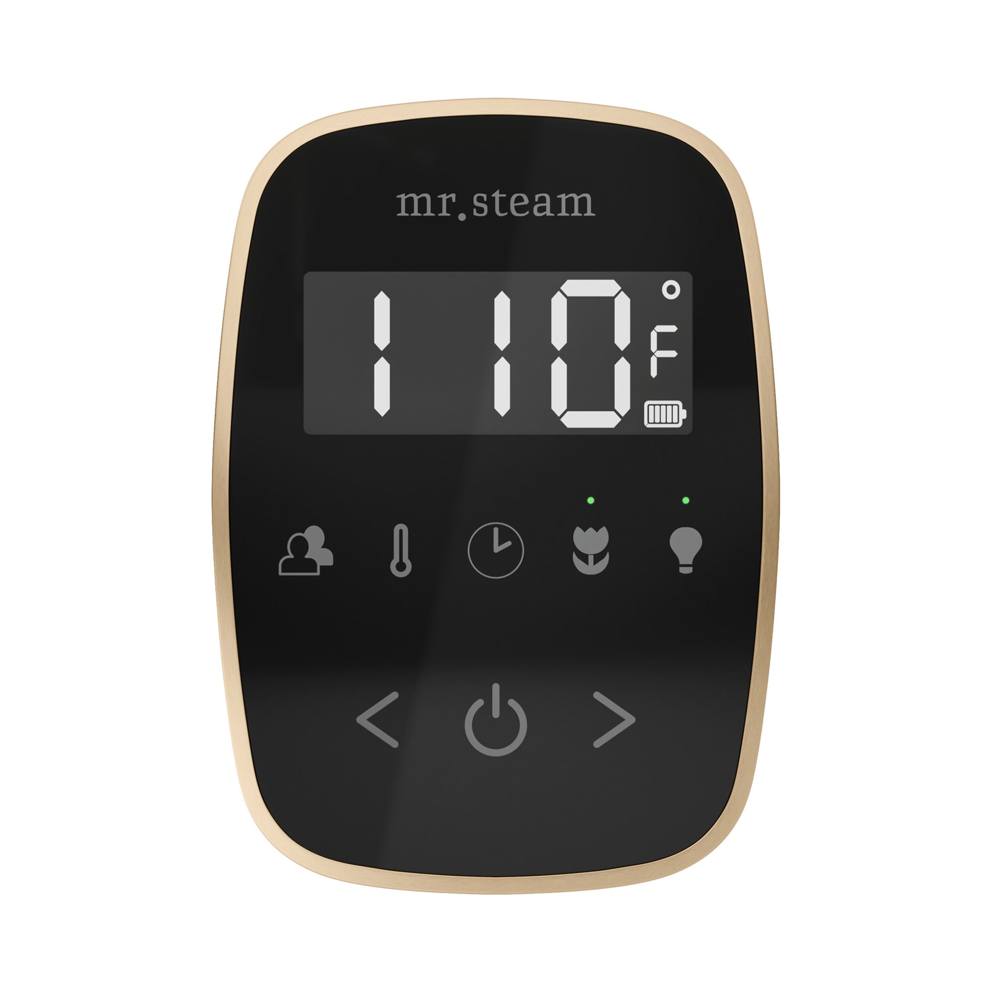 Mr. Steam TempoFlex Steam Shower Control and Steamhead