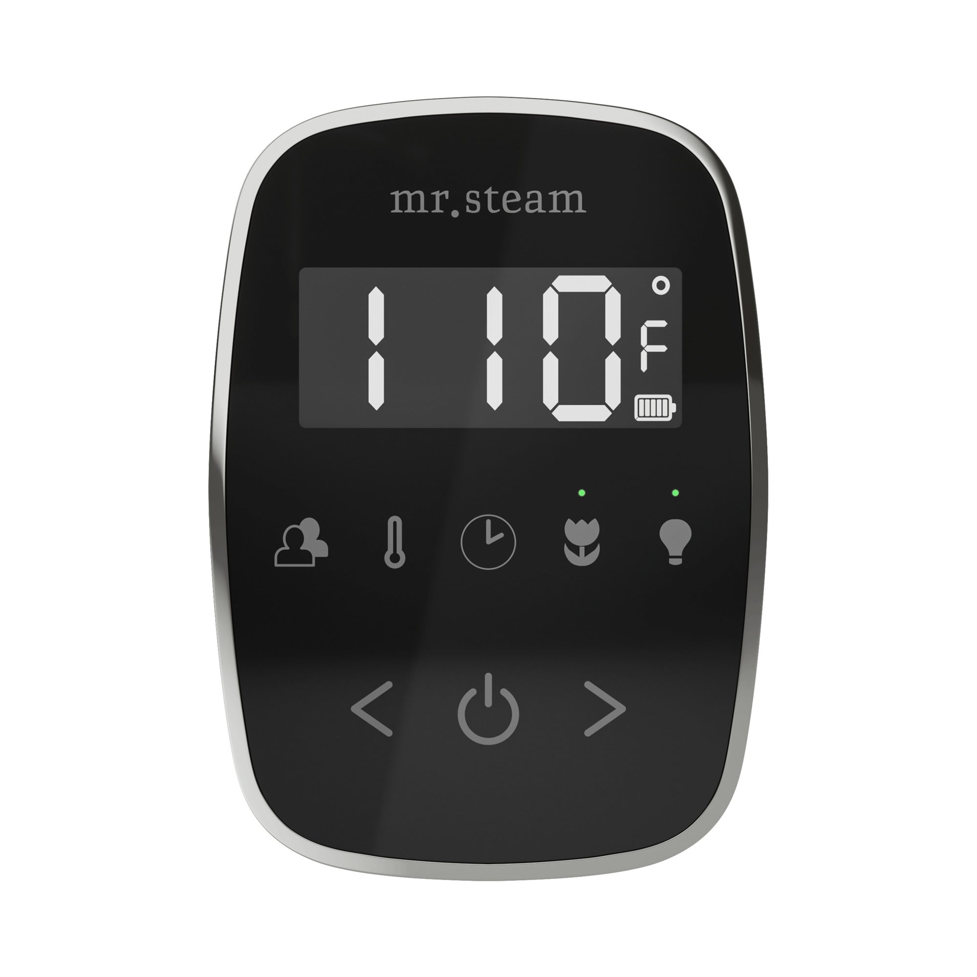 Mr. Steam TempoFlex Steam Shower Control and Steamhead