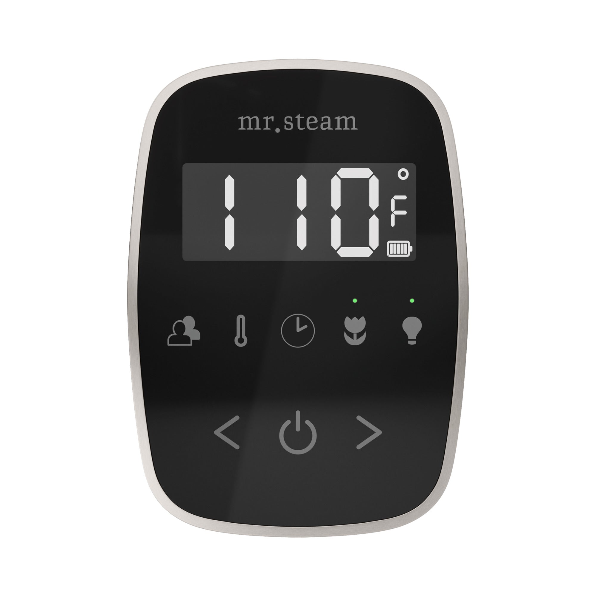 Mr. Steam TempoFlex Steam Shower Control and Steamhead