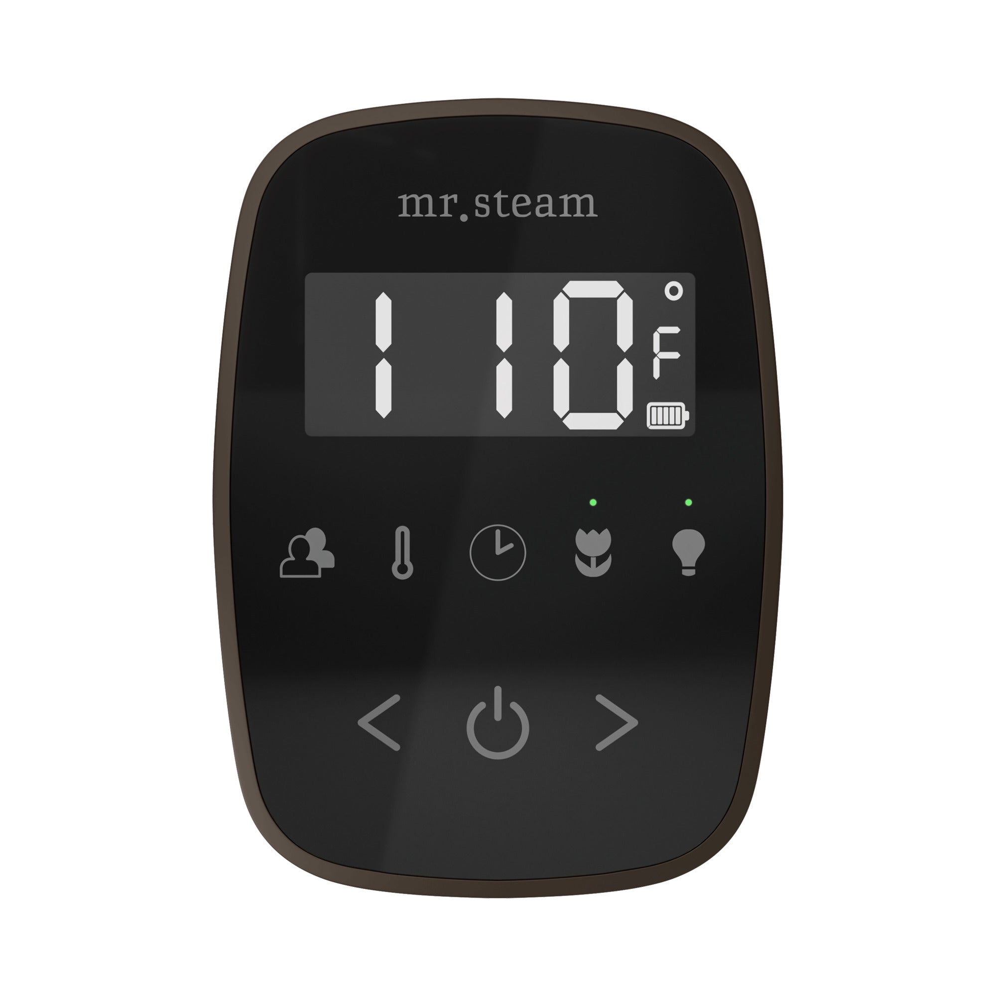 Mr. Steam TempoFlex Steam Shower Control and Steamhead