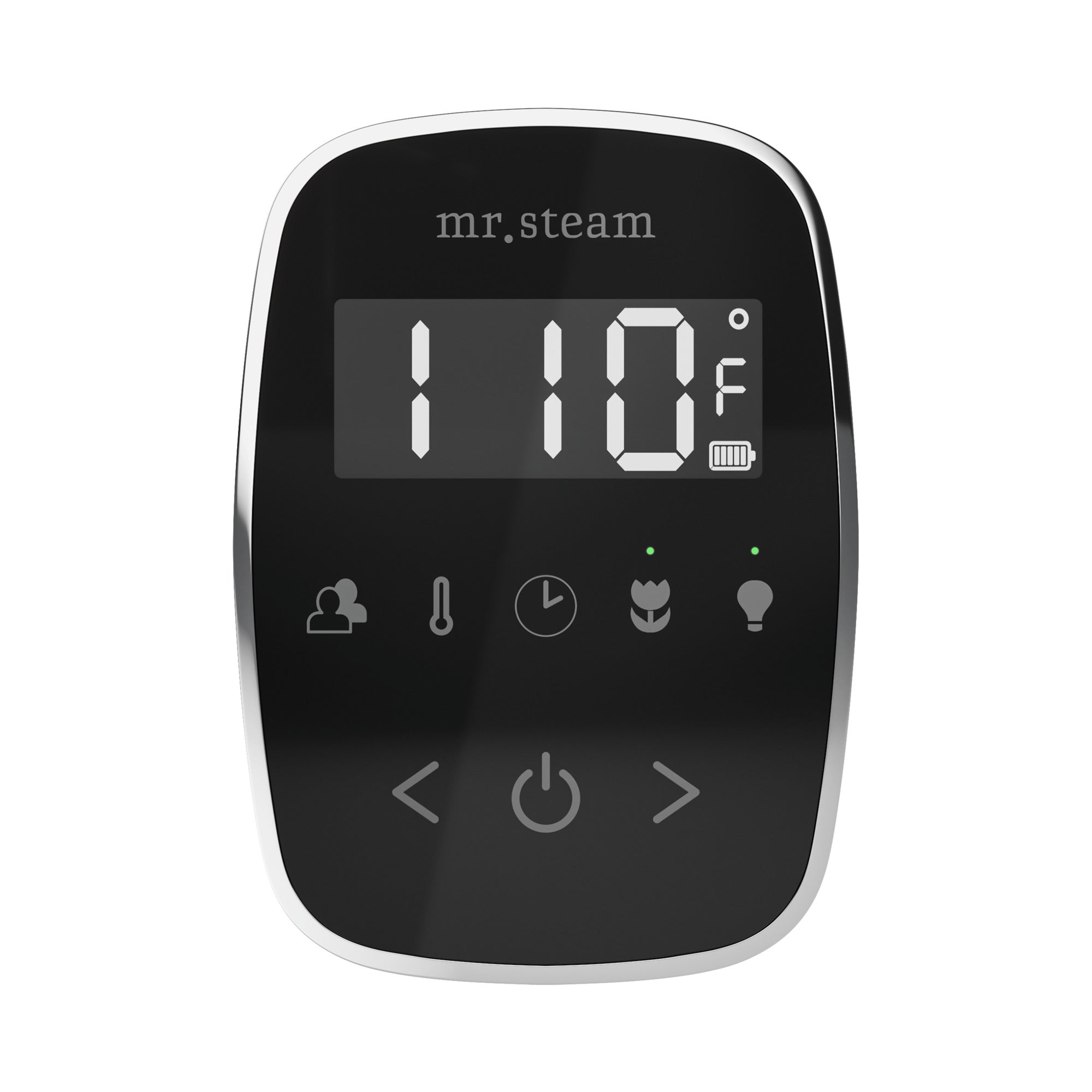 Mr. Steam TempoFlex Steam Shower Control and Steamhead